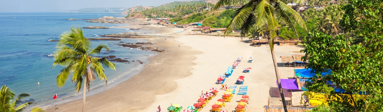 Туры в Северный Гоа