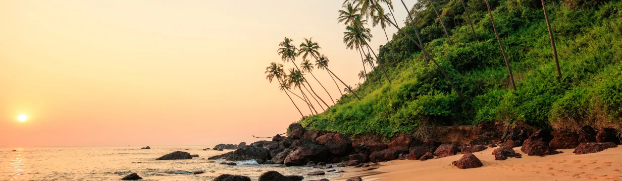 Туры в Южный Гоа