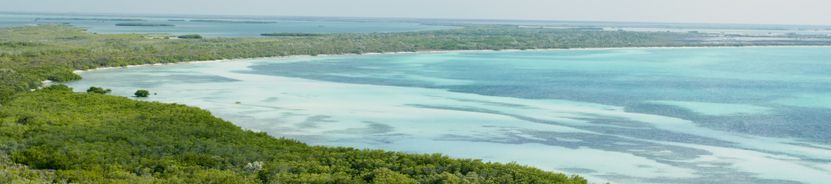 Кайо Паредон