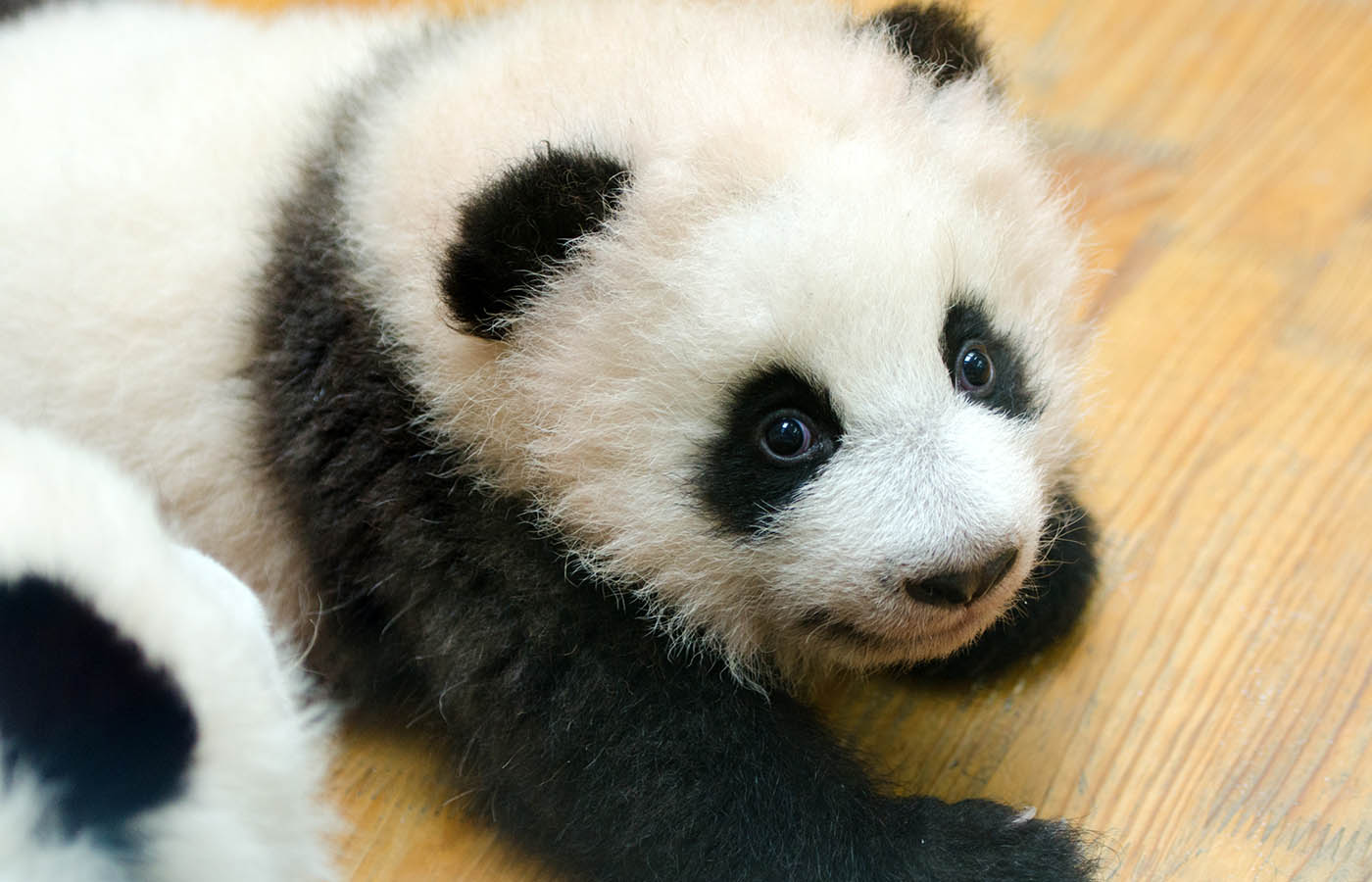 Туры в Пекин из Нижнекамска